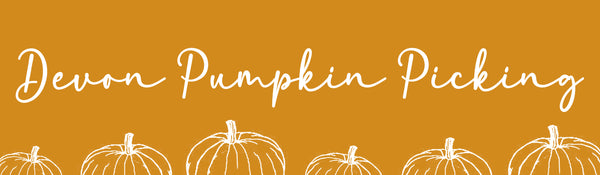 Devon Pumpkin Picking