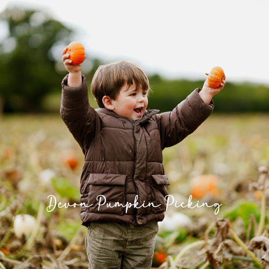 How does pumpkin picking work?