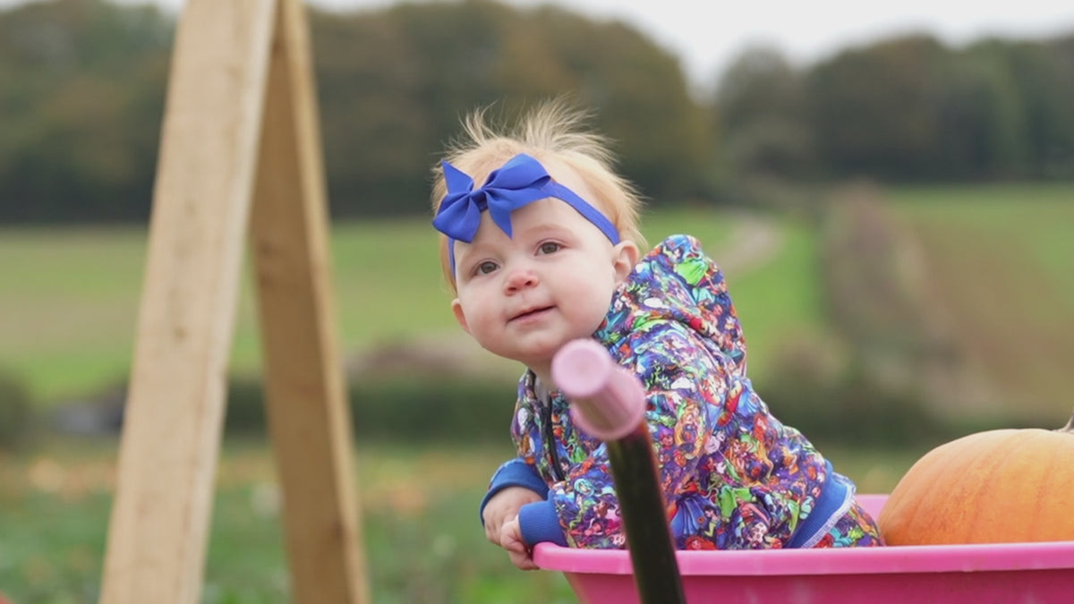 Devon Pumpkin Picking
